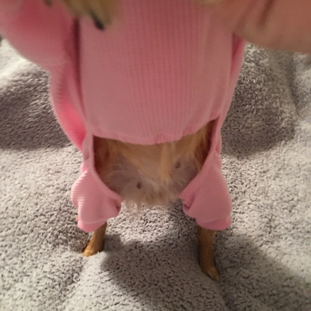 One pair PETRAGEOUS puppy pajamas. There pink for your Princess. Size Small. - Picture 6 of 7